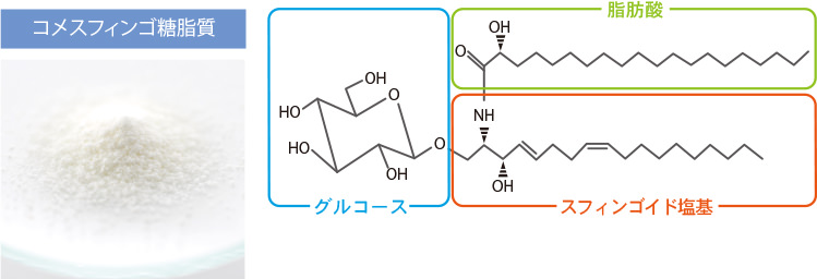 コメセラミド