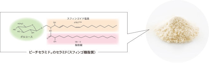 ピーチセラミド®のセラミド（スフィンゴ糖脂質）