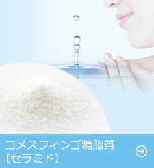 コメスフィンゴ糖脂質【セラミド】