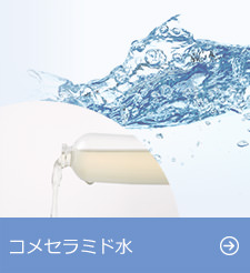 コメセラミド水