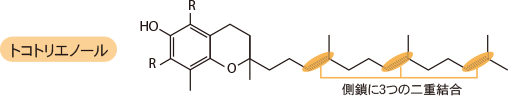 トコトリエノール
