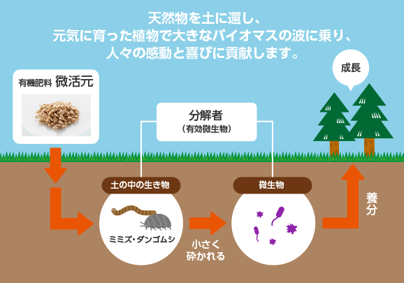 天然物を土に還し、元気に育った植物で大きなバイオマスの波に乗り、人々の感動と喜びに貢献します。